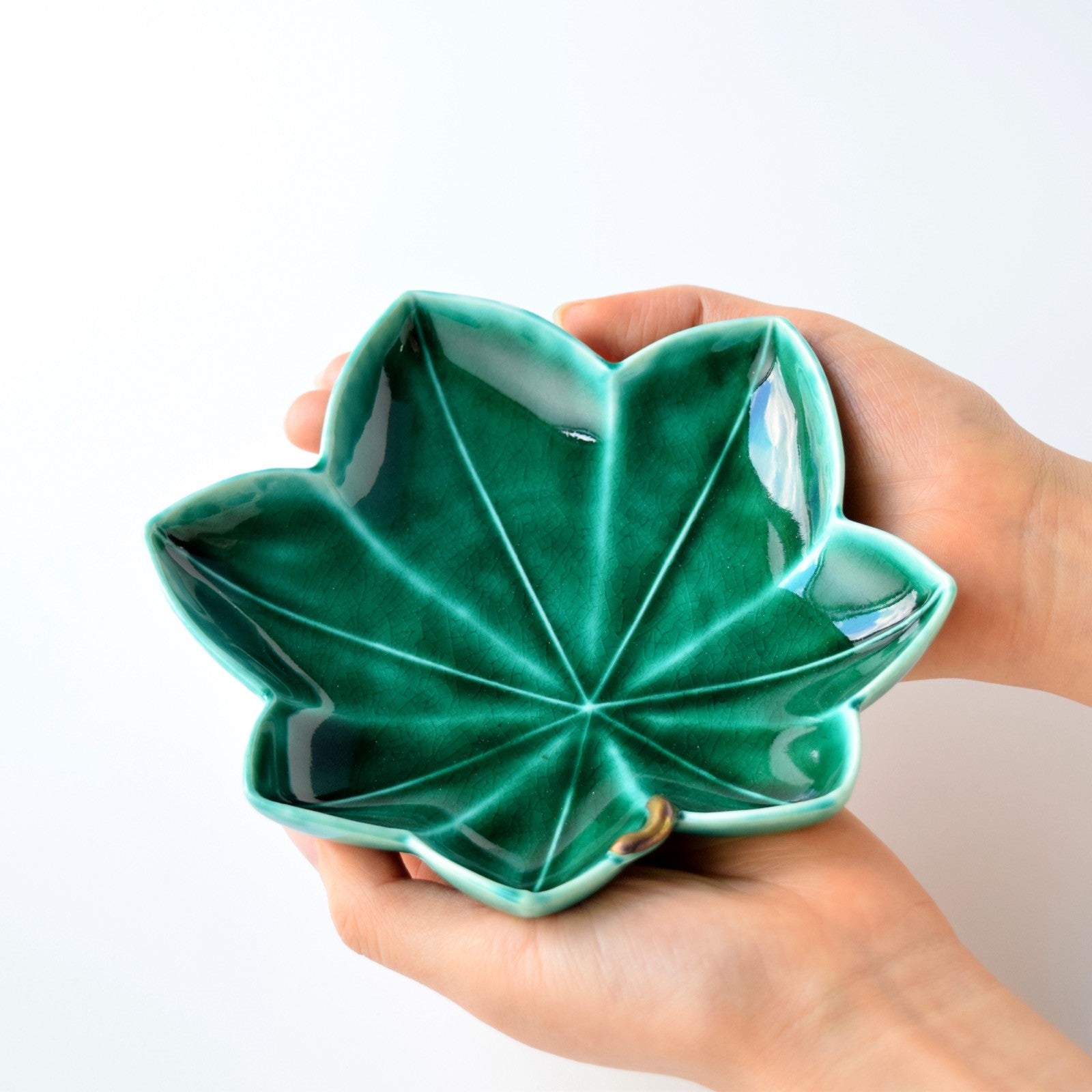 Aokaede of Individual plates (2 pieces) Mino ware