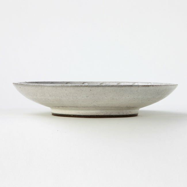 Kohikihorimon Medium Plate (2 pieces) Mino ware
