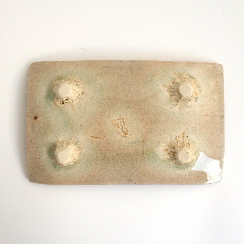 Haiyūsōmon rectangular plate (2 pieces) Mino ware