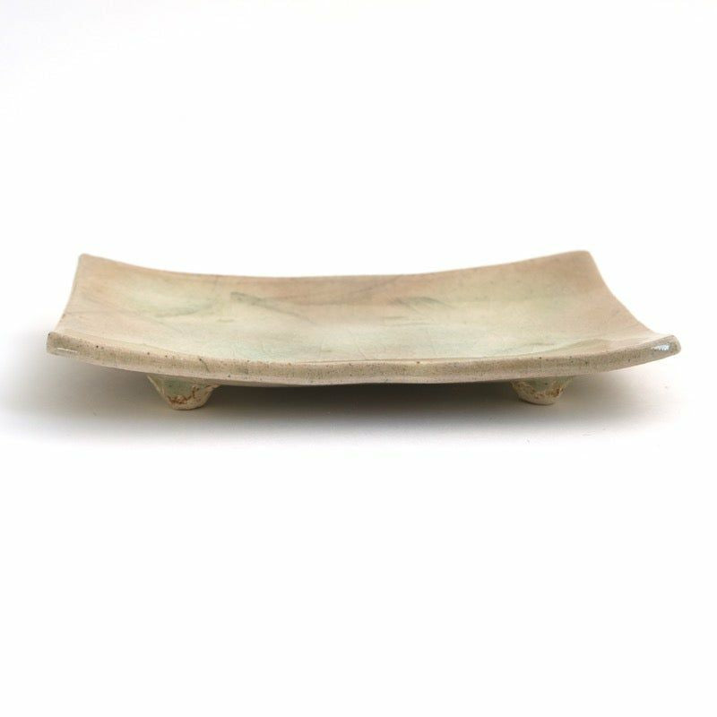 Haiyūsōmon rectangular plate (2 pieces) Mino ware