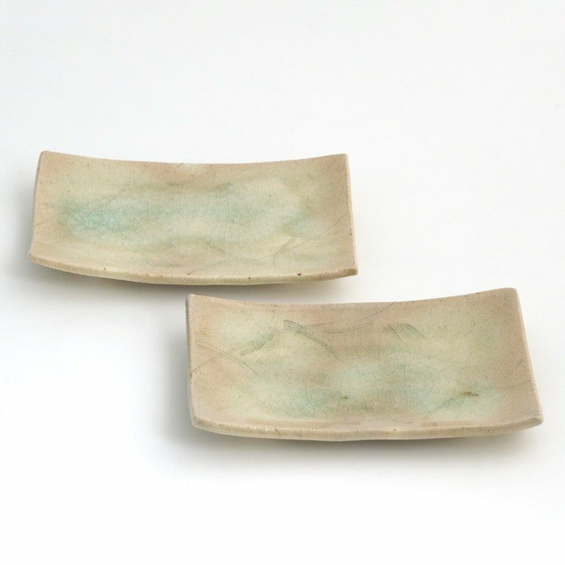 Haiyūsōmon rectangular plate (2 pieces) Mino ware